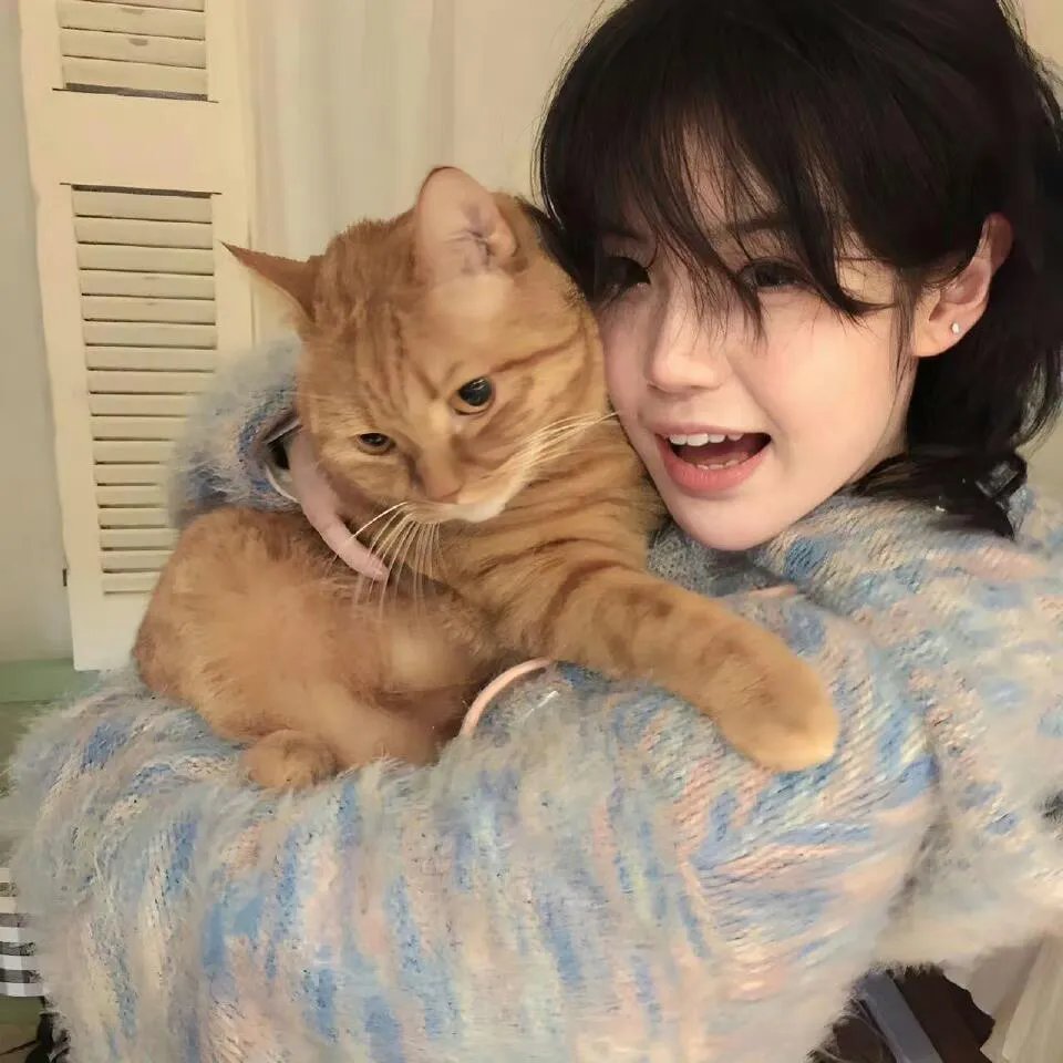 探案新窍门 第二季